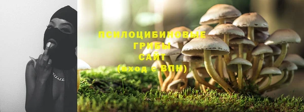 mdpv Лагань
