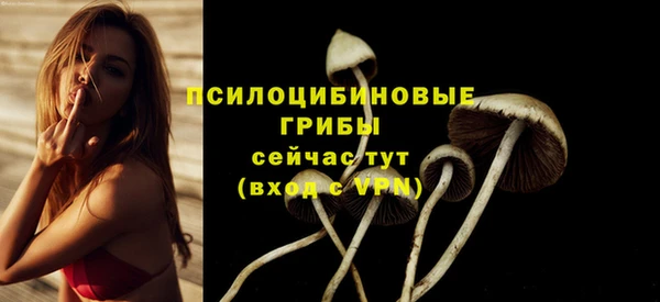 mdpv Лагань