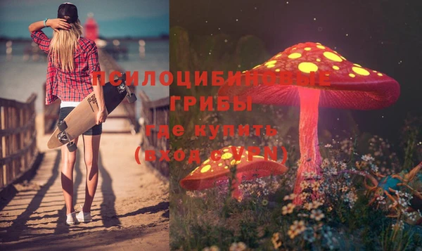 mdpv Лагань